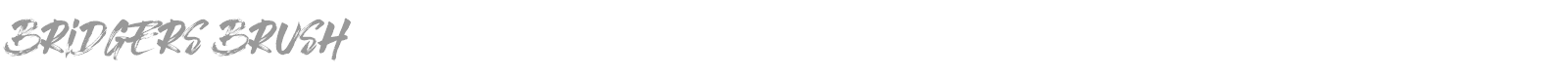 Bridgers Brush font preview
